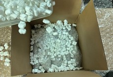 Antique Shipping